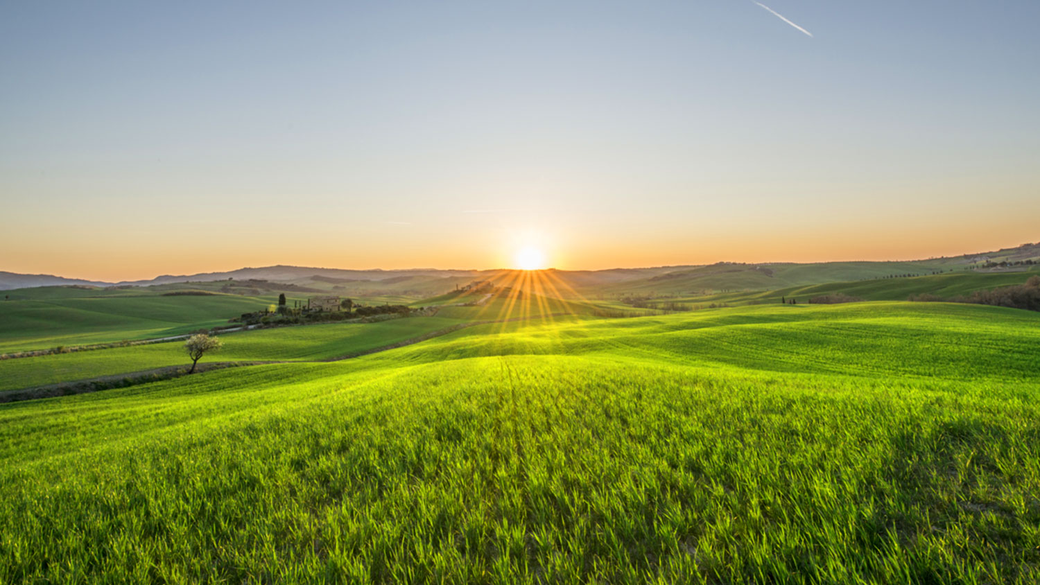 <i>from the</i> Heart<br><i>of</i> Tuscany